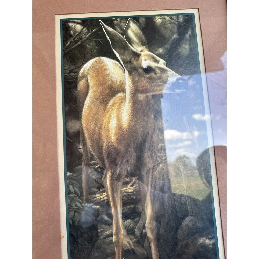 Home Interior Deer Picture - THE YEARLING Pre-owned 23 1/2 X 15‎ 1/2